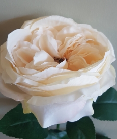 Artificial Garden Rose - Cream