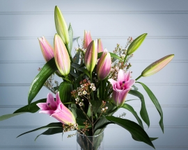 Pink Lily and Waxflower Bouquet